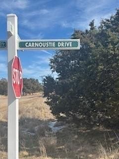 0.11 acres in Palo Pinto County gallery image 3