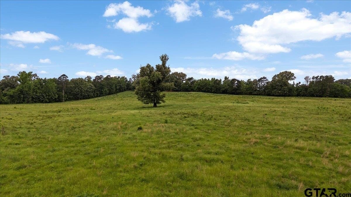 30.6 acres in Rusk County gallery image 4