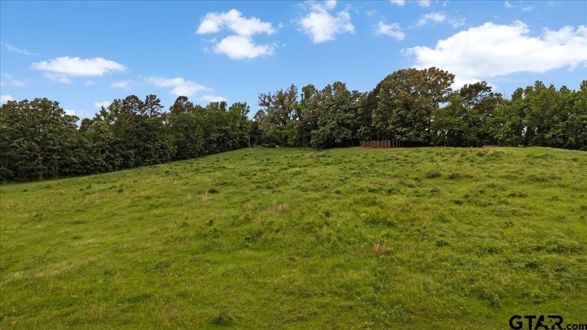 30.6 acres in Rusk County gallery image 3