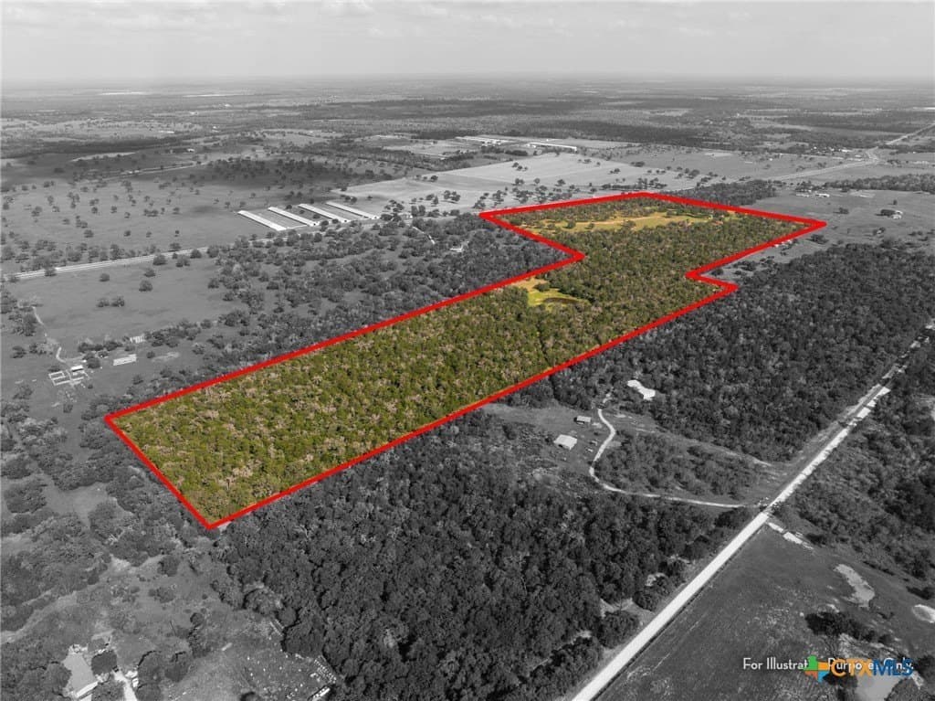 73.53 acres in Gonzales County gallery image 4