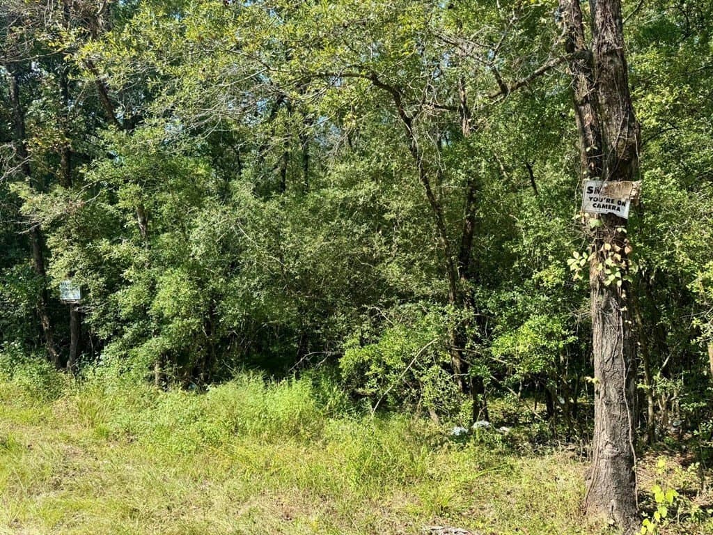 27.47 acres in Texas County gallery image 3