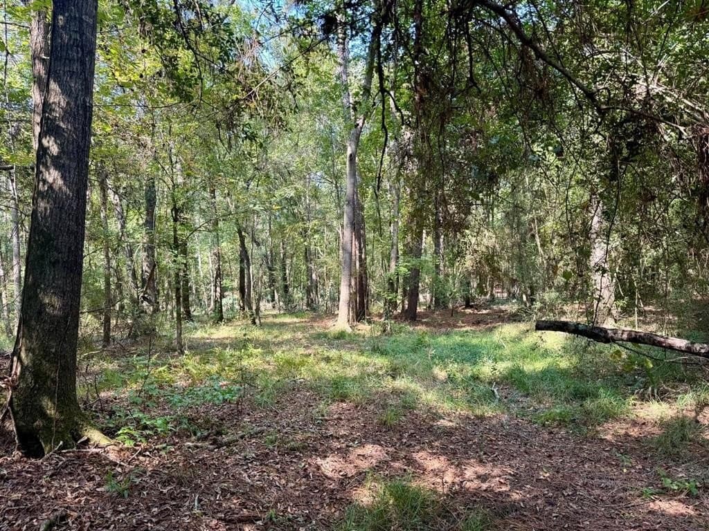 27.47 acres in Texas County