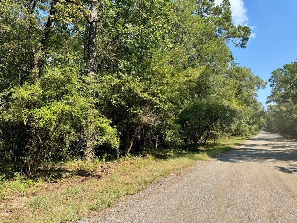27.47 acres in Texas County gallery image 4
