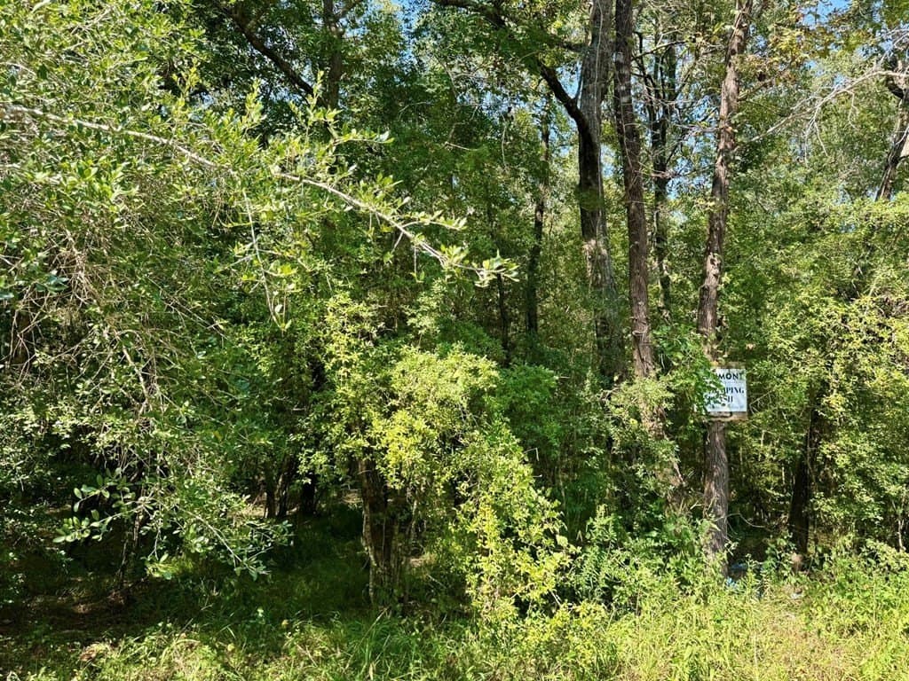 27.47 acres in Texas County gallery image 2