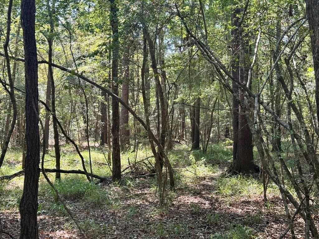 27.47 acres in Texas County featured view