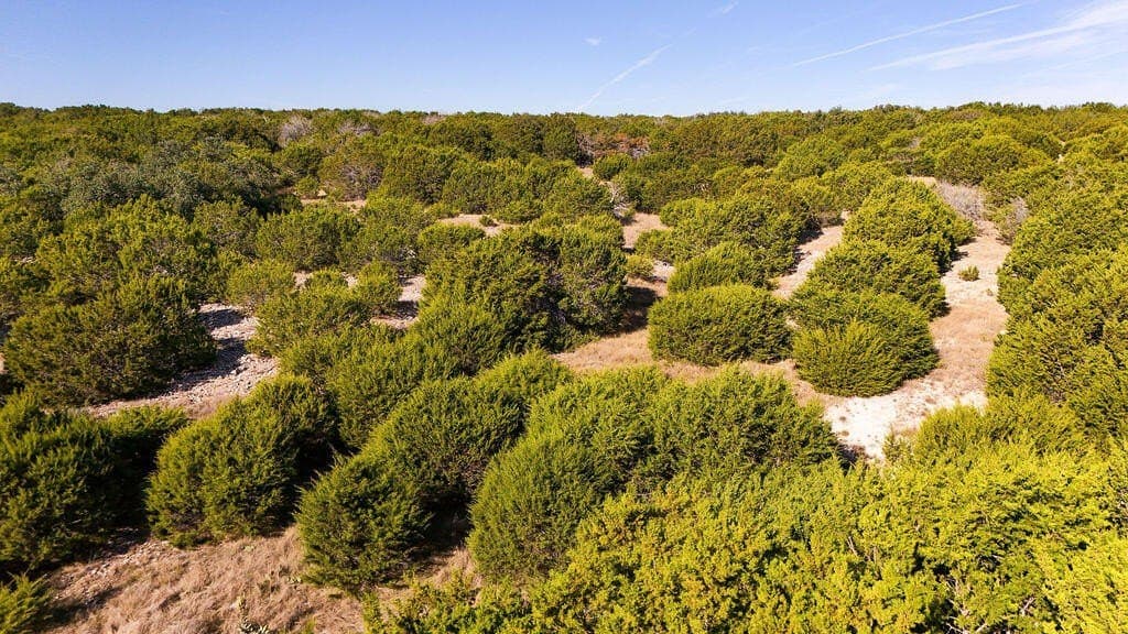 73 acres in Kimble County - photo 24