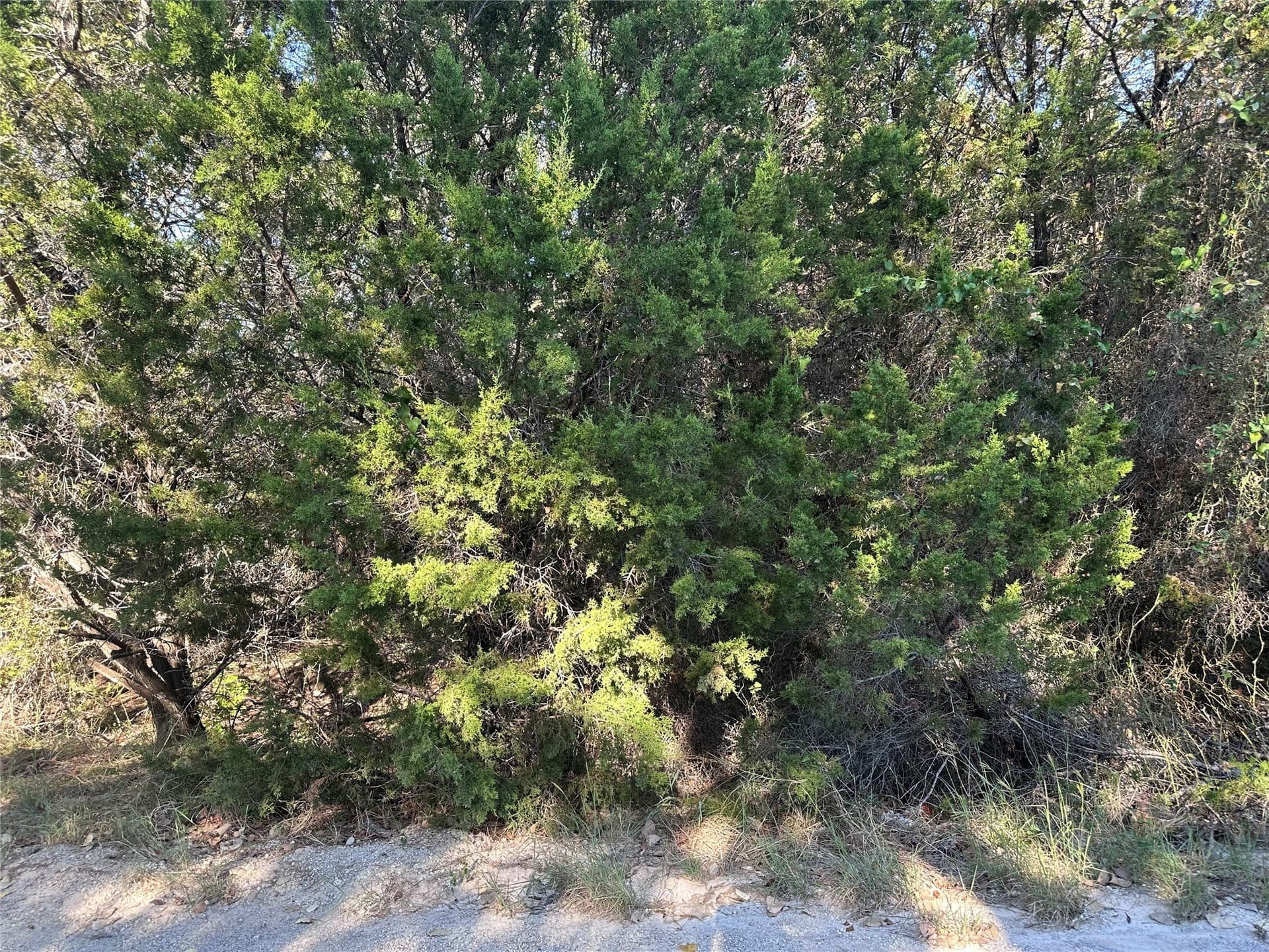 0.07 acres in Hood County - photo 5