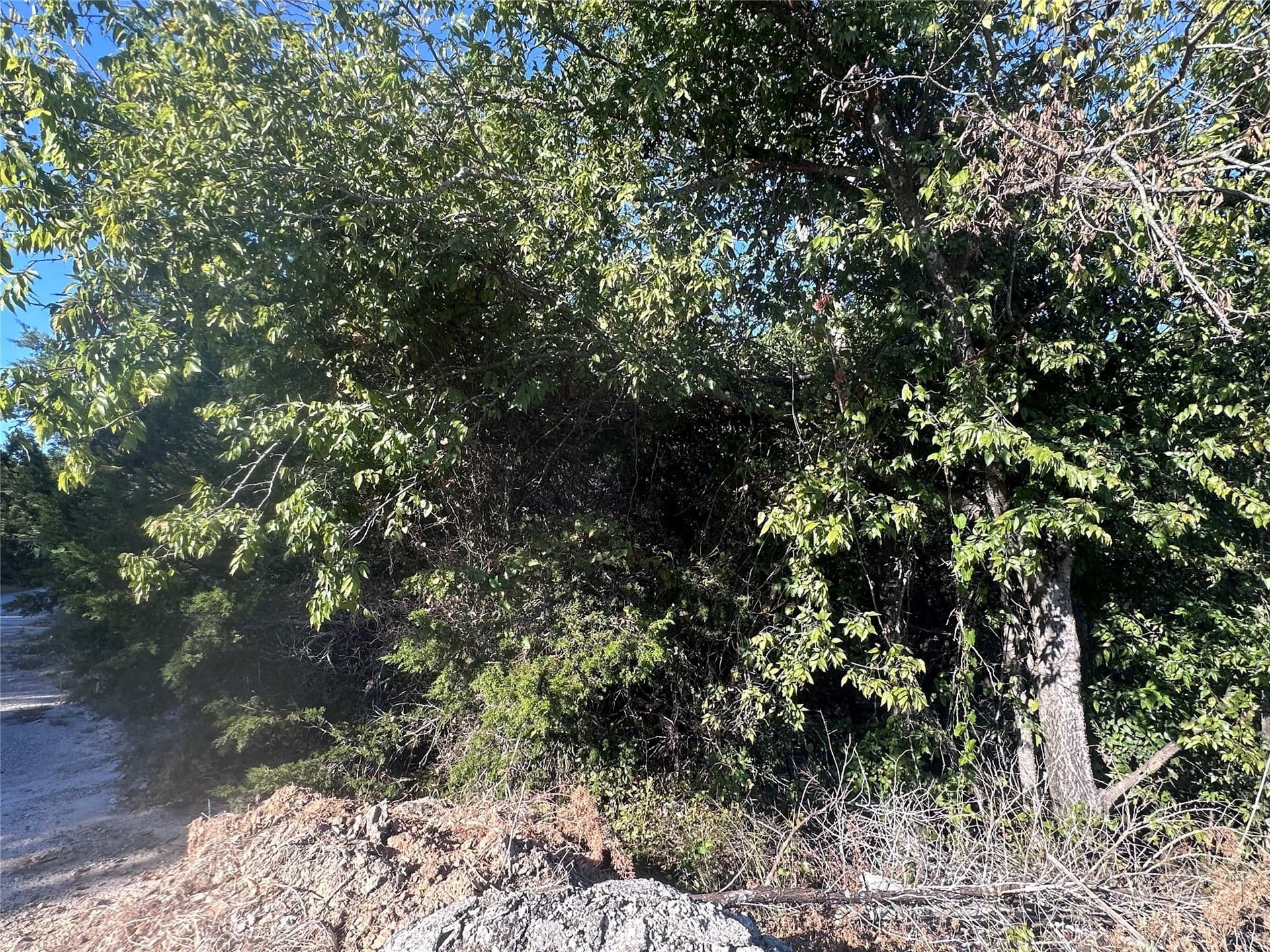 0.07 acres in Hood County - photo 3