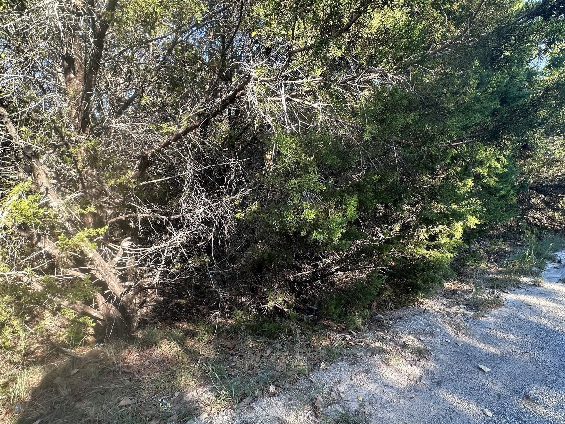 0.07 acres in Hood County - photo 4