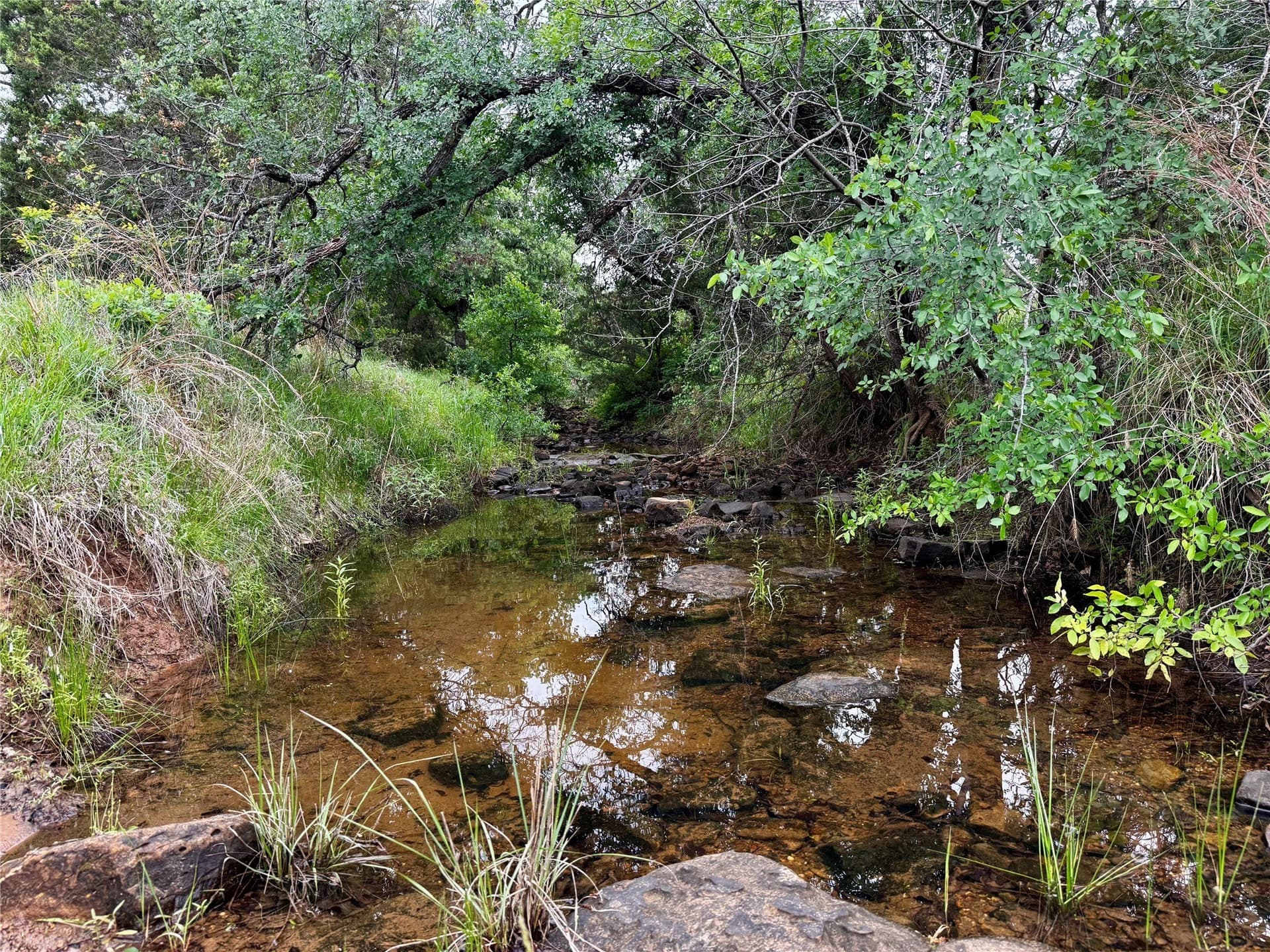 8 acres in Palo Pinto County - photo 12