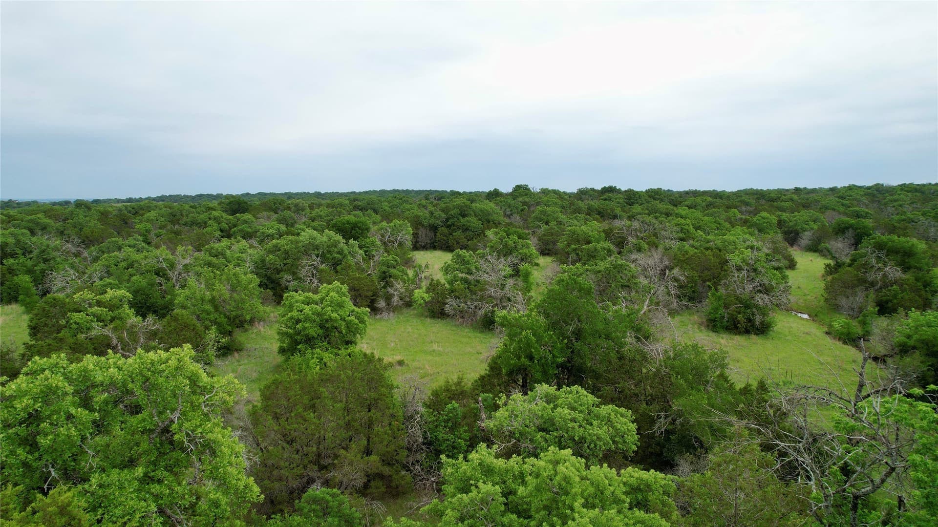 8 acres in Palo Pinto County gallery image 4