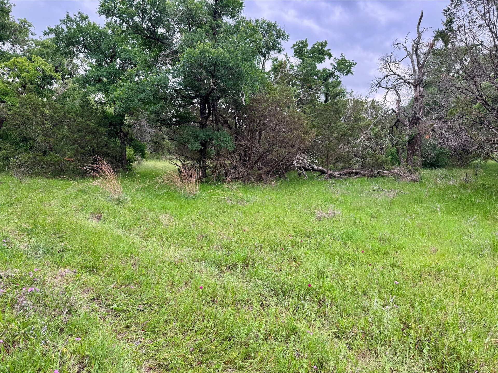 8 acres in Palo Pinto County - photo 8
