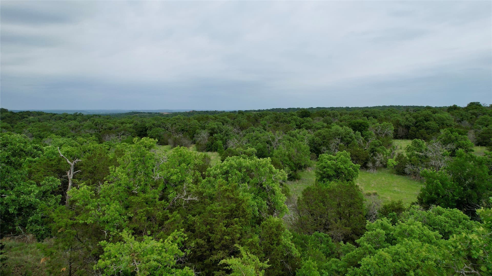 8 acres in Palo Pinto County featured view