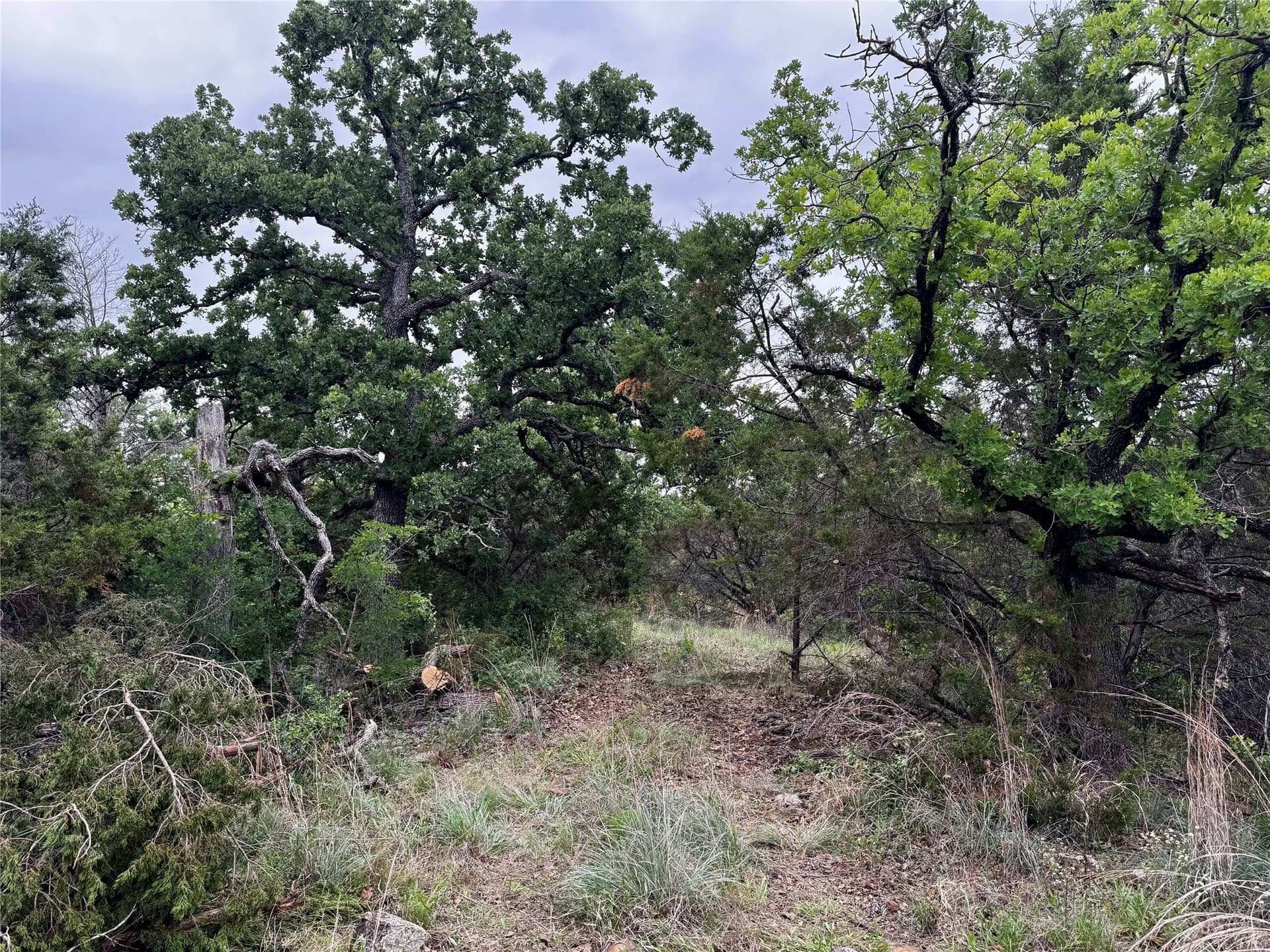 8 acres in Palo Pinto County - photo 21