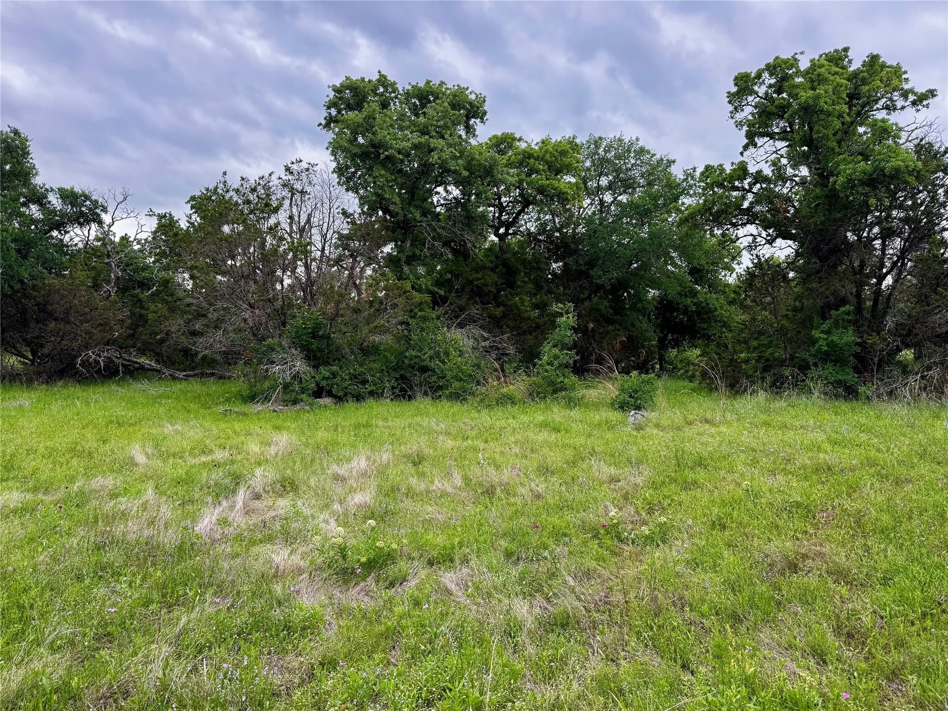 8 acres in Palo Pinto County - photo 10