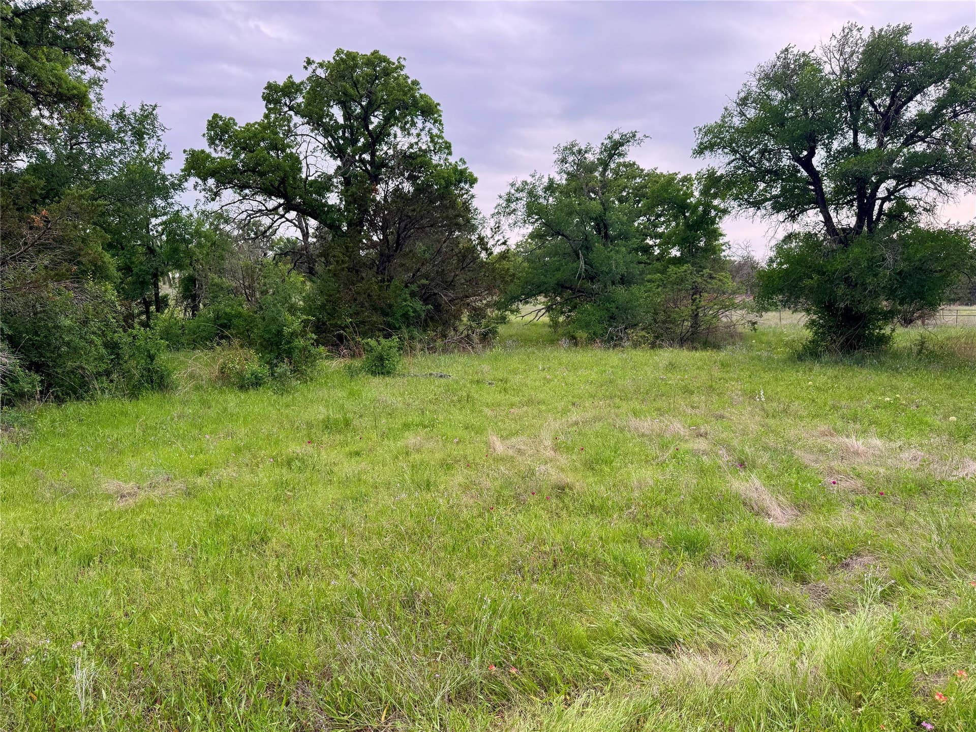 8 acres in Palo Pinto County - photo 11