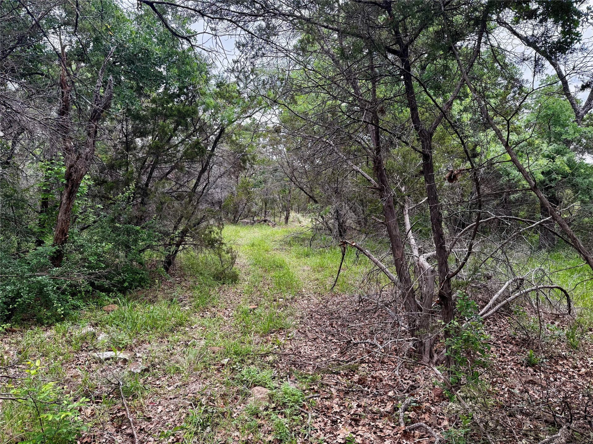 8 acres in Palo Pinto County - photo 18