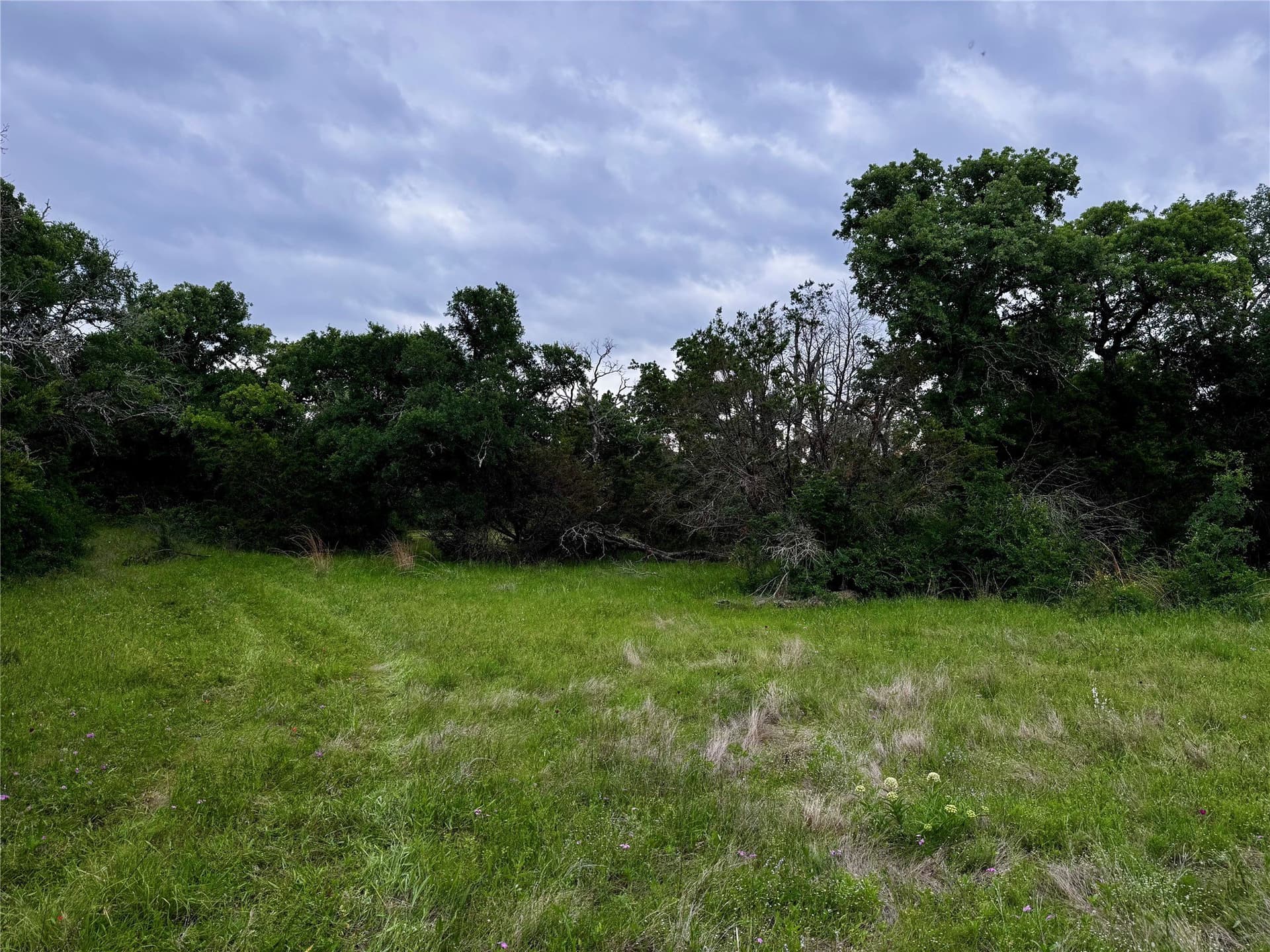 8 acres in Palo Pinto County - photo 9