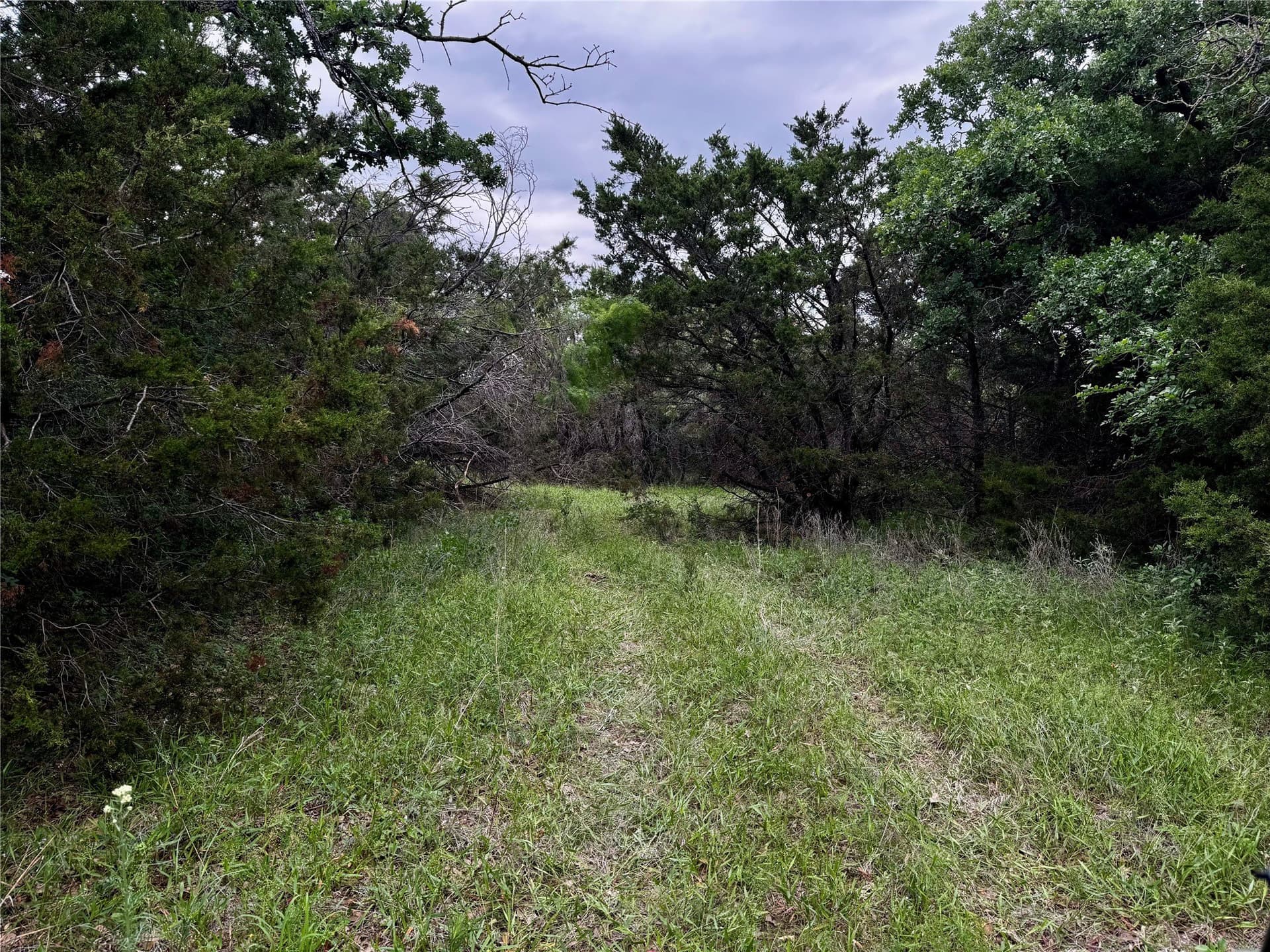 8 acres in Palo Pinto County - photo 15