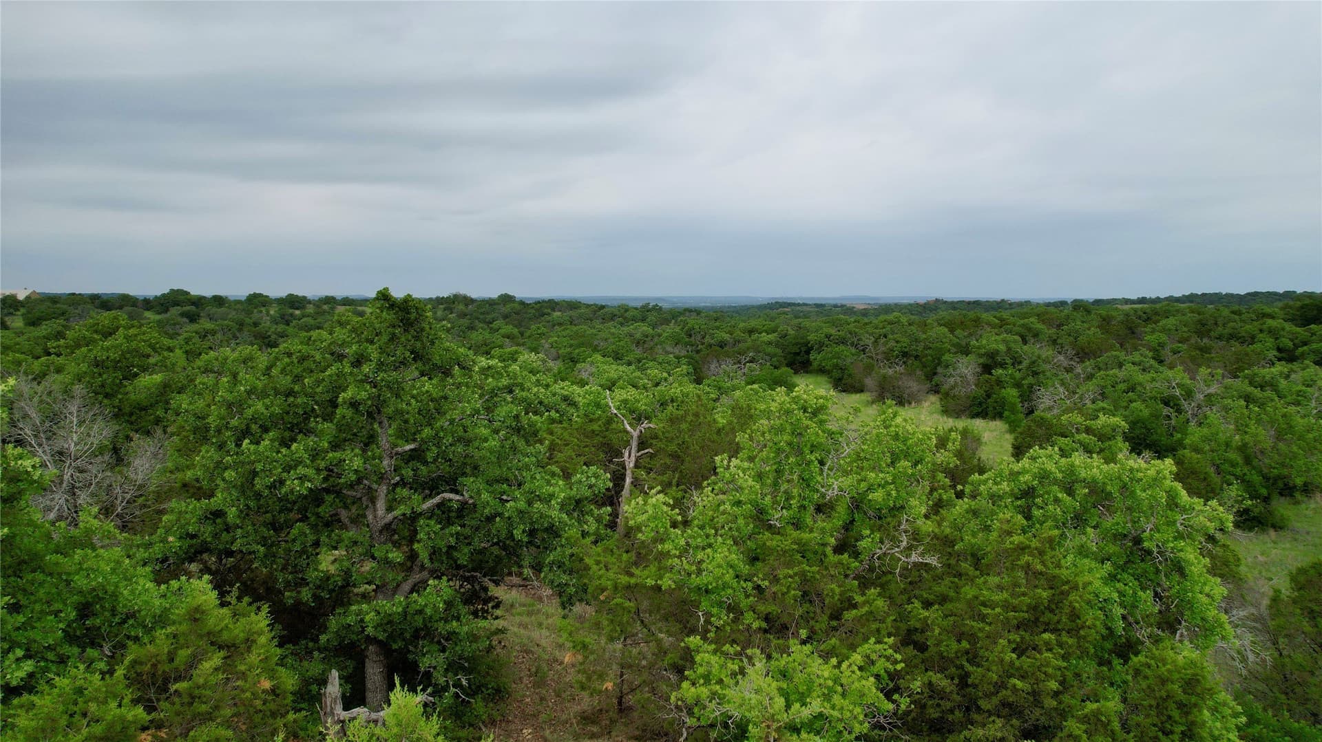 8 acres in Palo Pinto County - photo 6