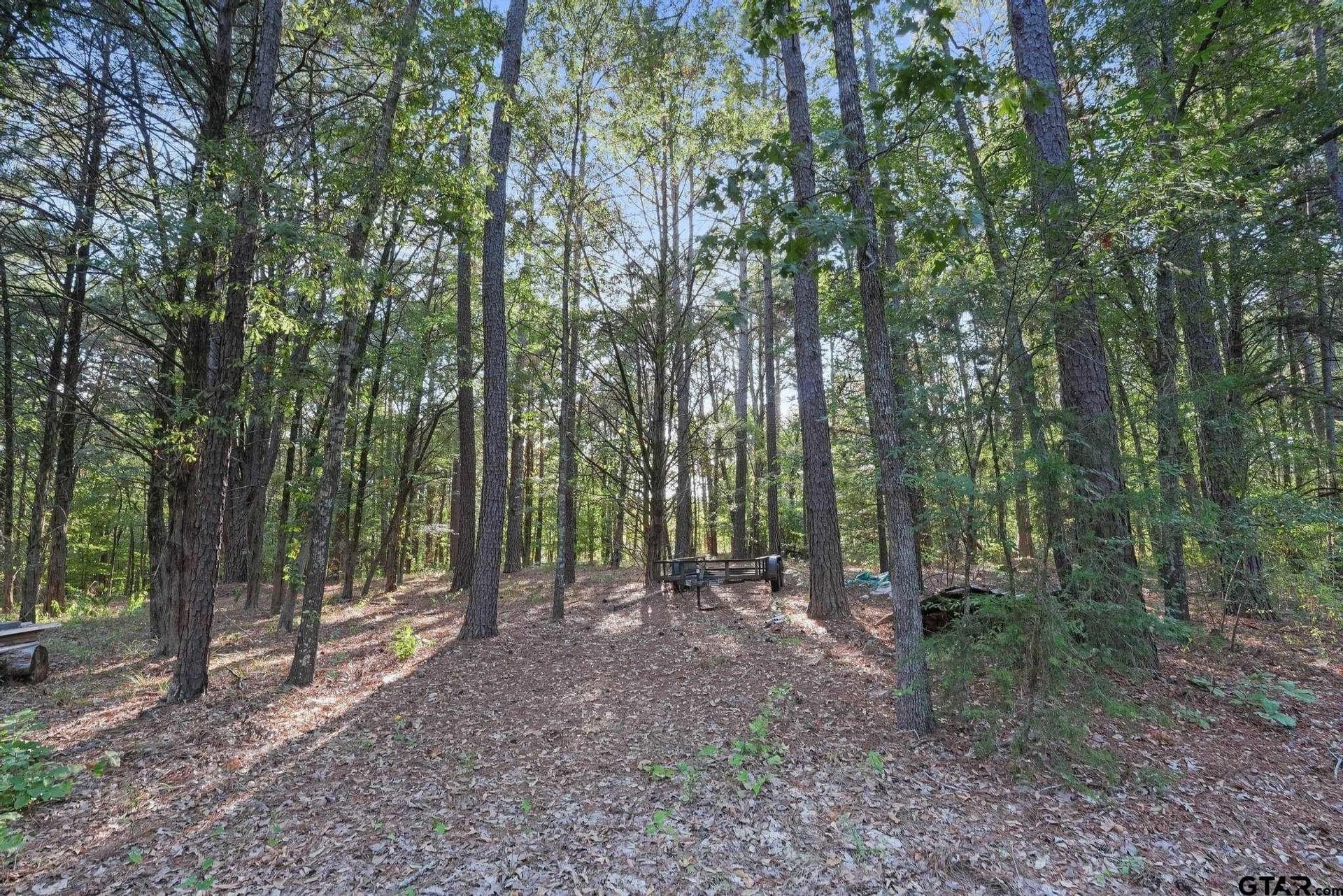 11.99 acres in Smith County - photo 3