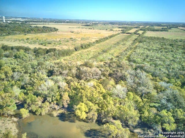 30.83 acres in Guadalupe County gallery image 2