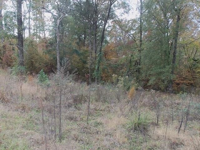 0.59 acres in Rusk County - photo 2