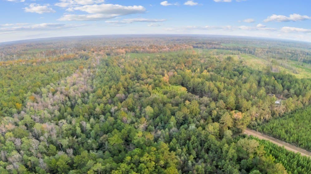 6 acres in Texas County gallery image 4