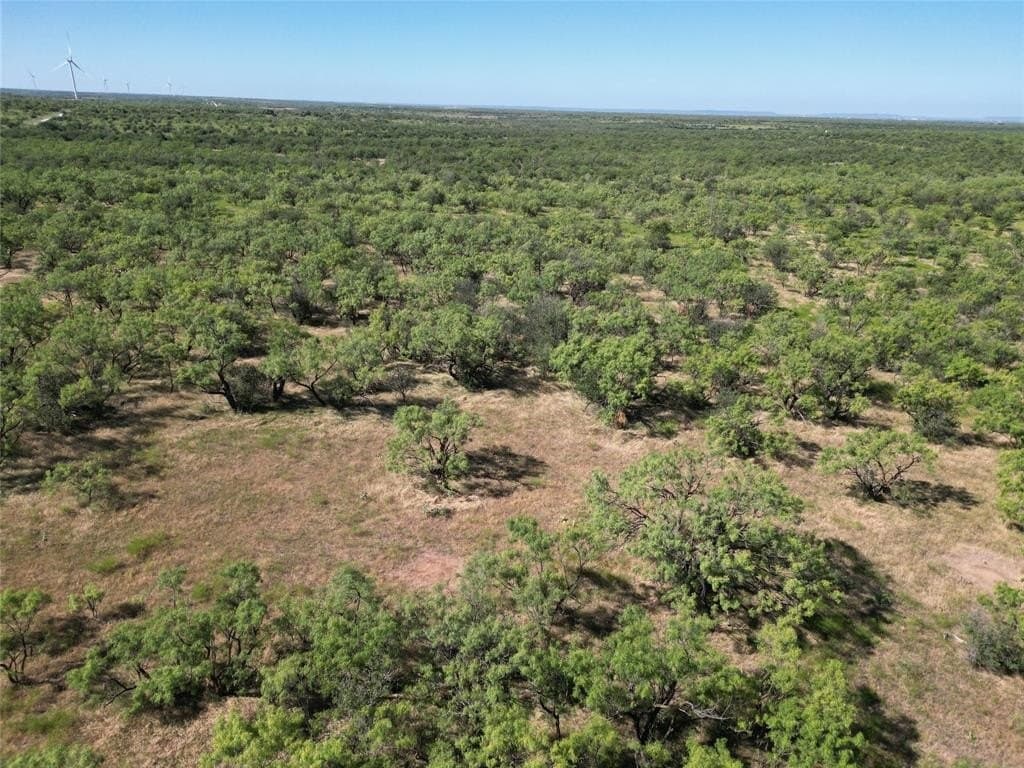 16.34 acres in Eastland County featured view