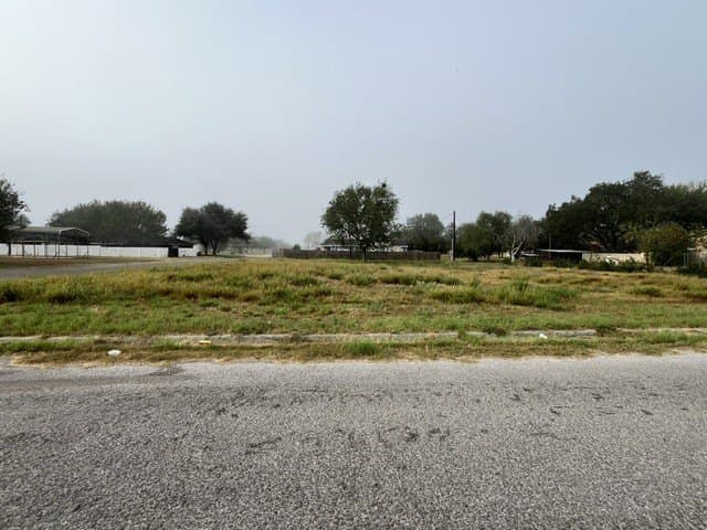 0.32 acres in Jim Hogg County - photo 2