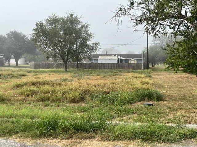 0.32 acres in Jim Hogg County - photo 4