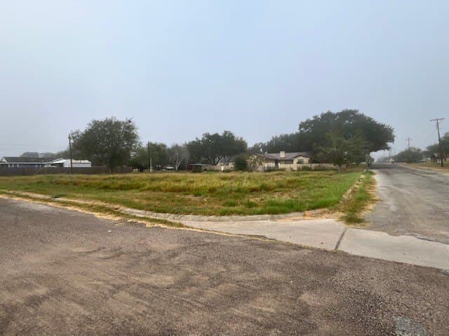 0.32 acres in Jim Hogg County - photo 7