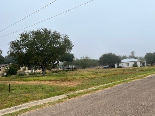 0.32 acres in Jim Hogg County - photo 6