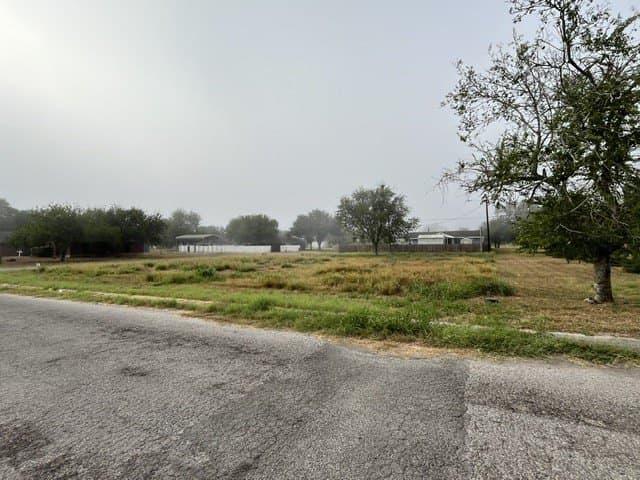 0.32 acres in Jim Hogg County - photo 3