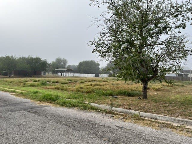 0.32 acres in Jim Hogg County - photo 5