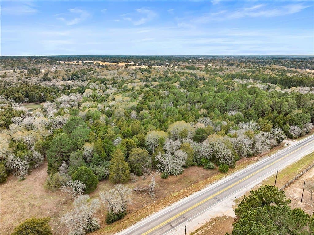 14.94 acres in Colorado County gallery image 4