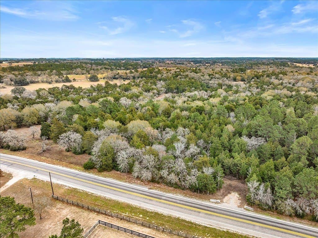 14.94 acres in Colorado County gallery image 3