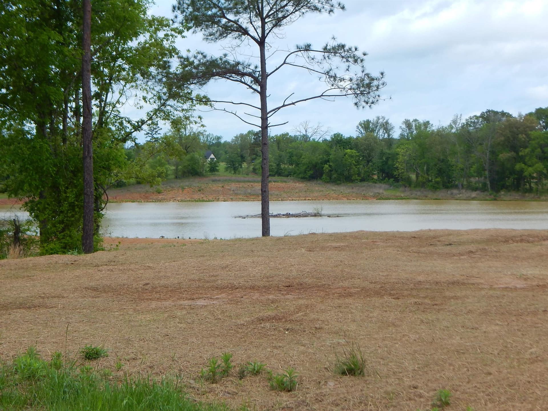 5.35 acres in Texas County gallery image 3
