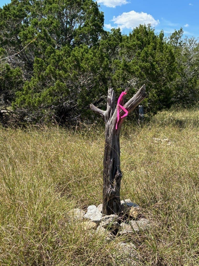 23.04 acres in Real County gallery image 3