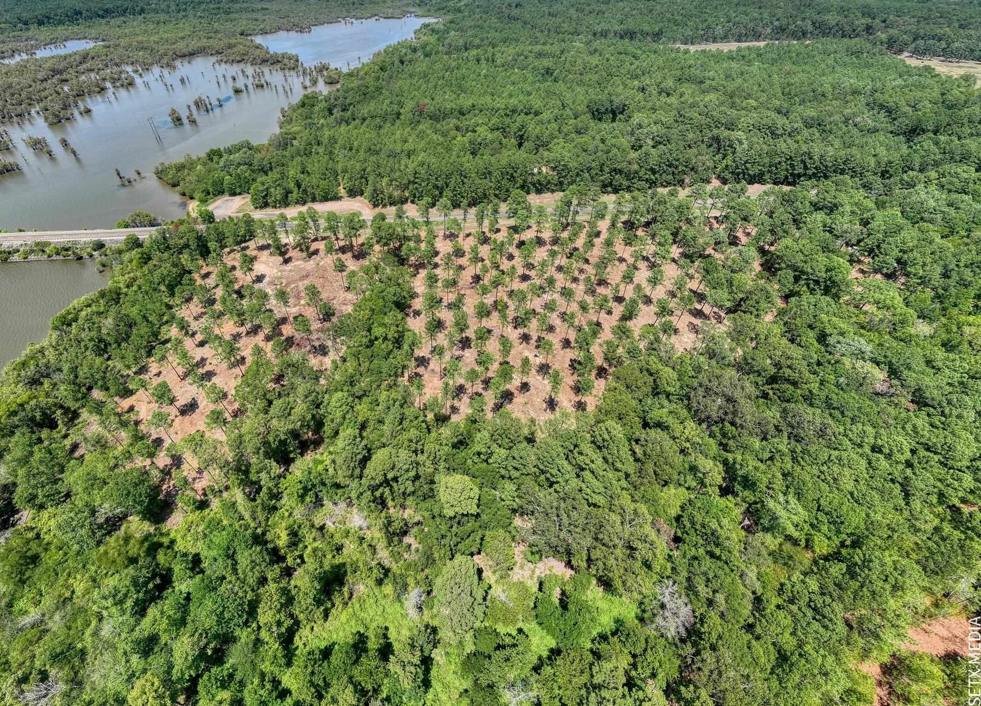 1.5 acres in Texas County - photo 12