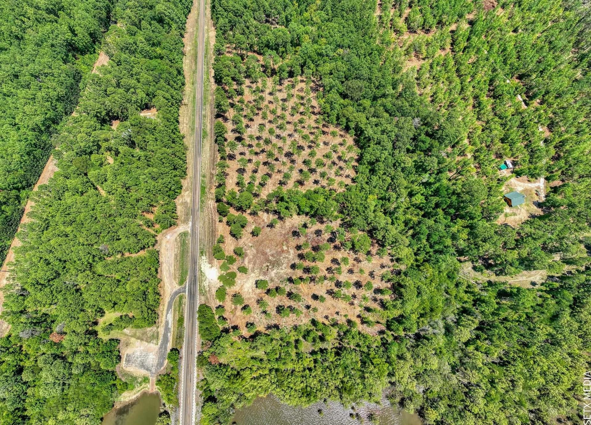 1.5 acres in Texas County - photo 22