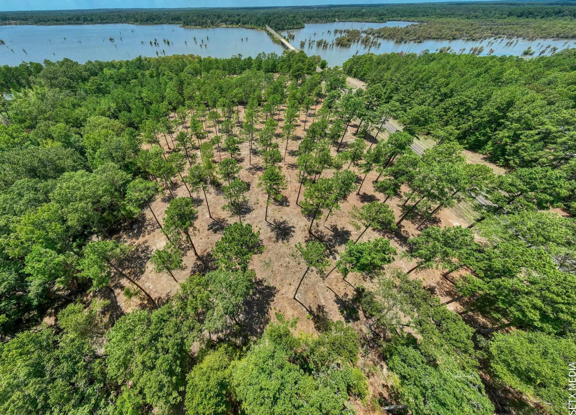 1.5 acres in Texas County - photo 21