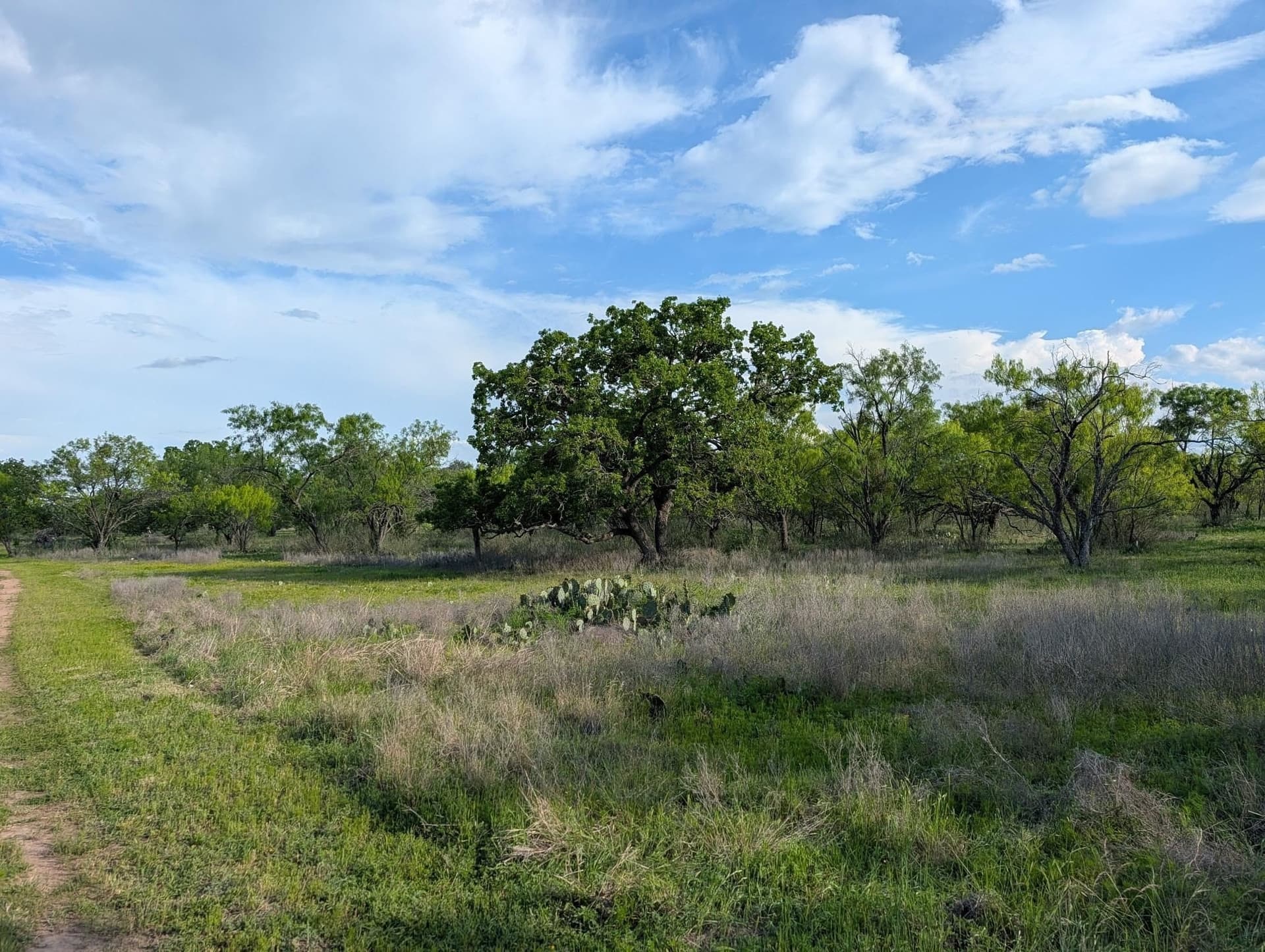 32.09 acres in Burnet County - photo 8