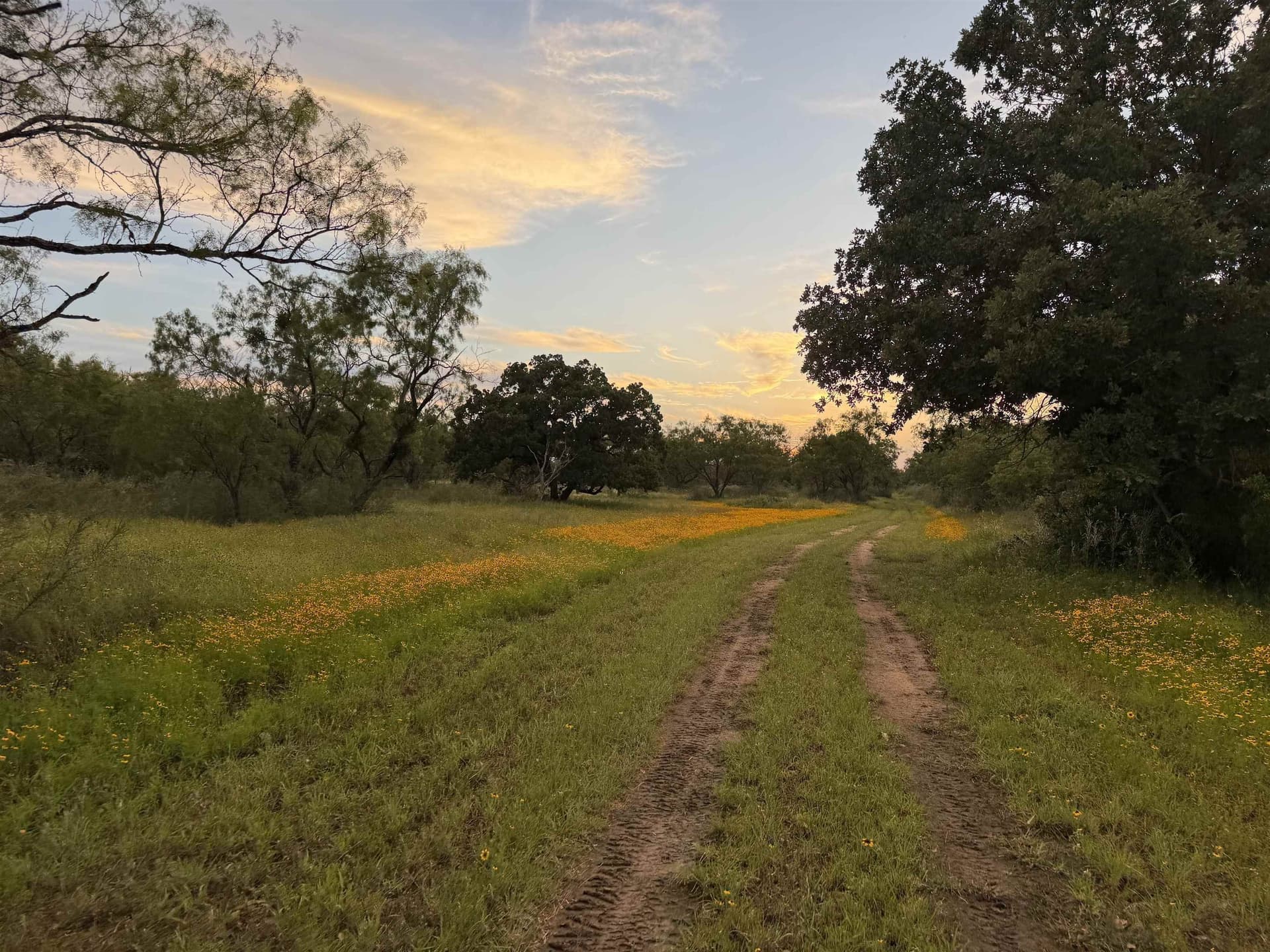 32.09 acres in Burnet County gallery image 4