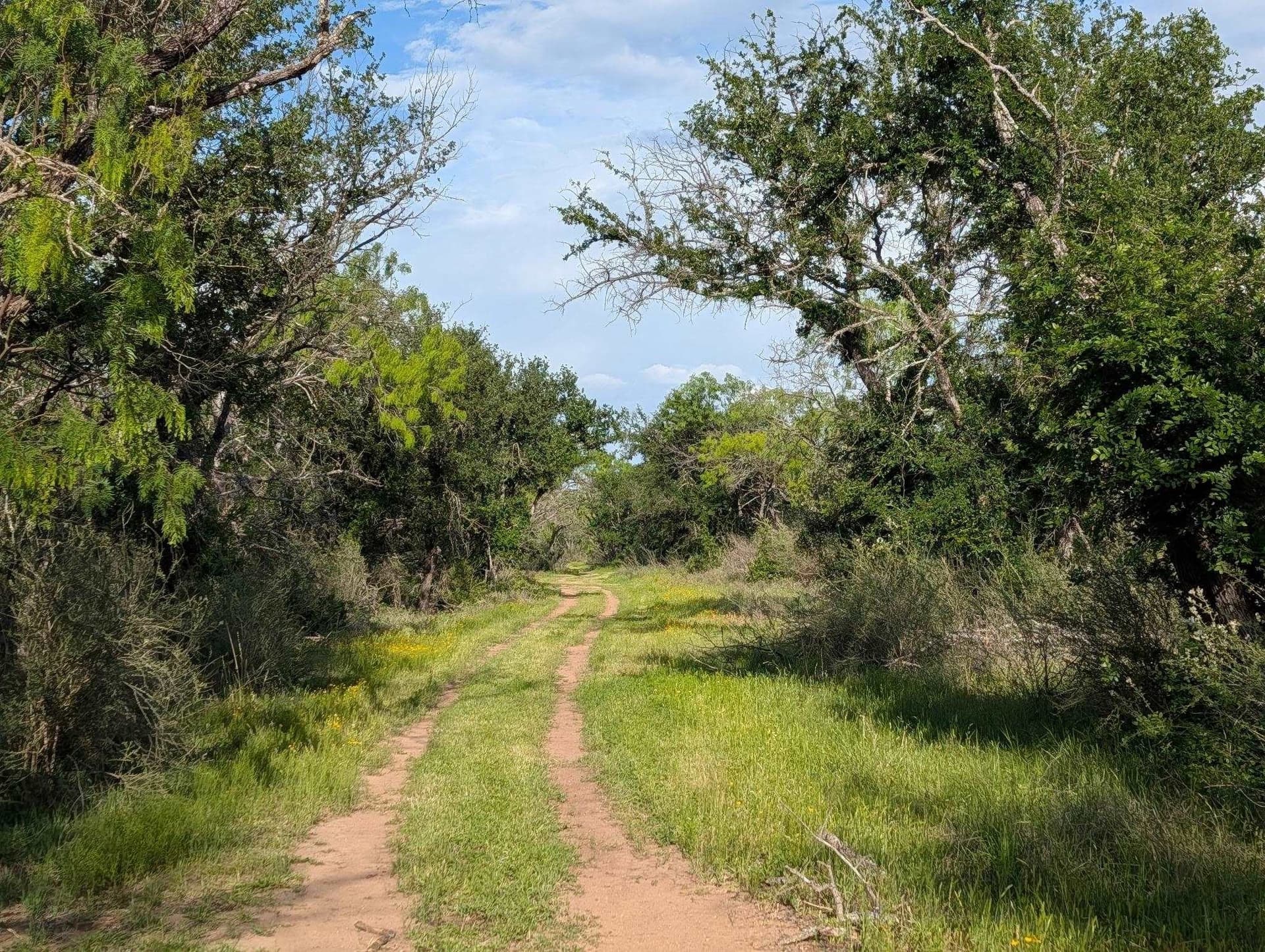 32.09 acres in Burnet County - photo 6