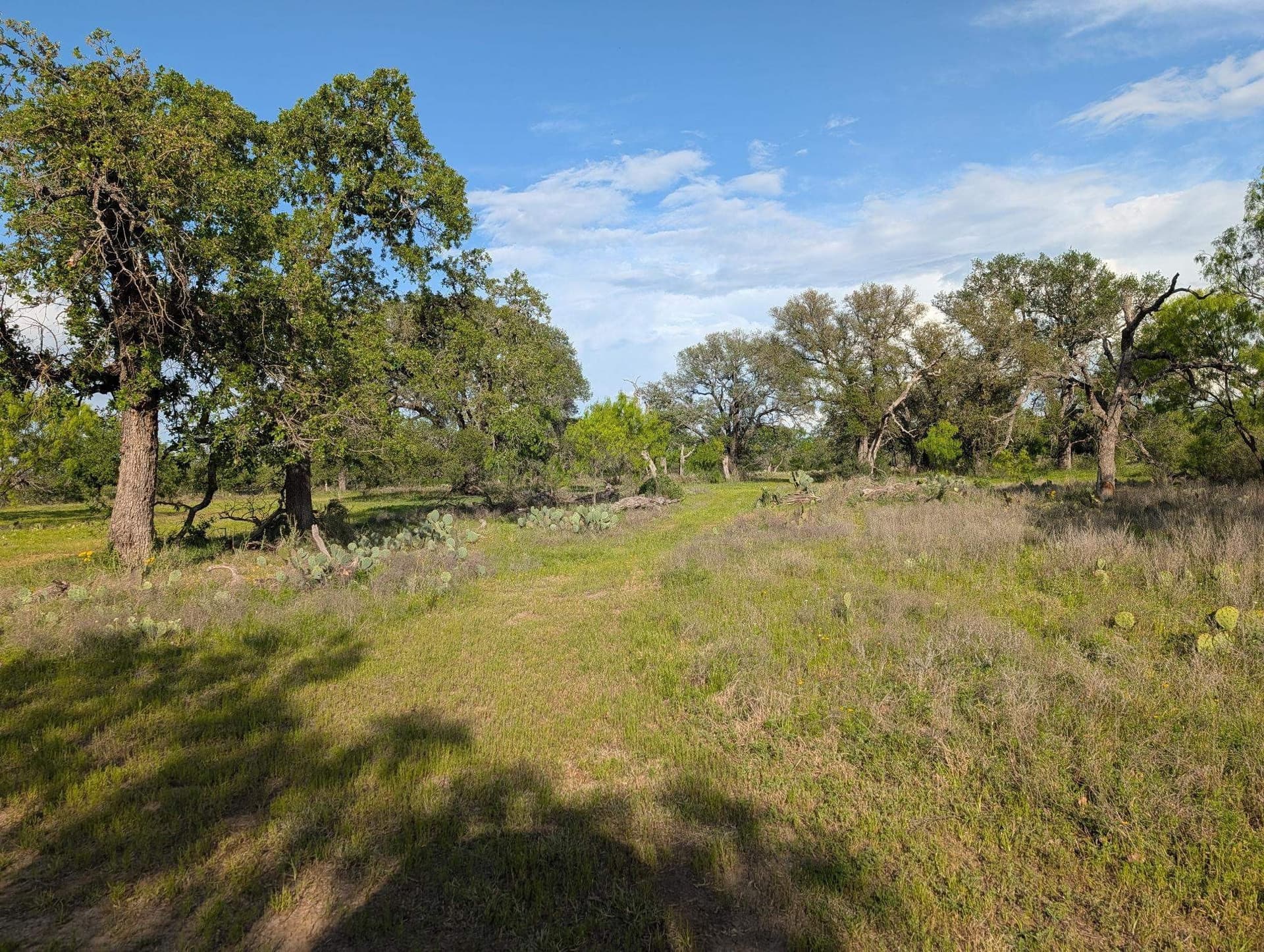 32.09 acres in Burnet County featured view