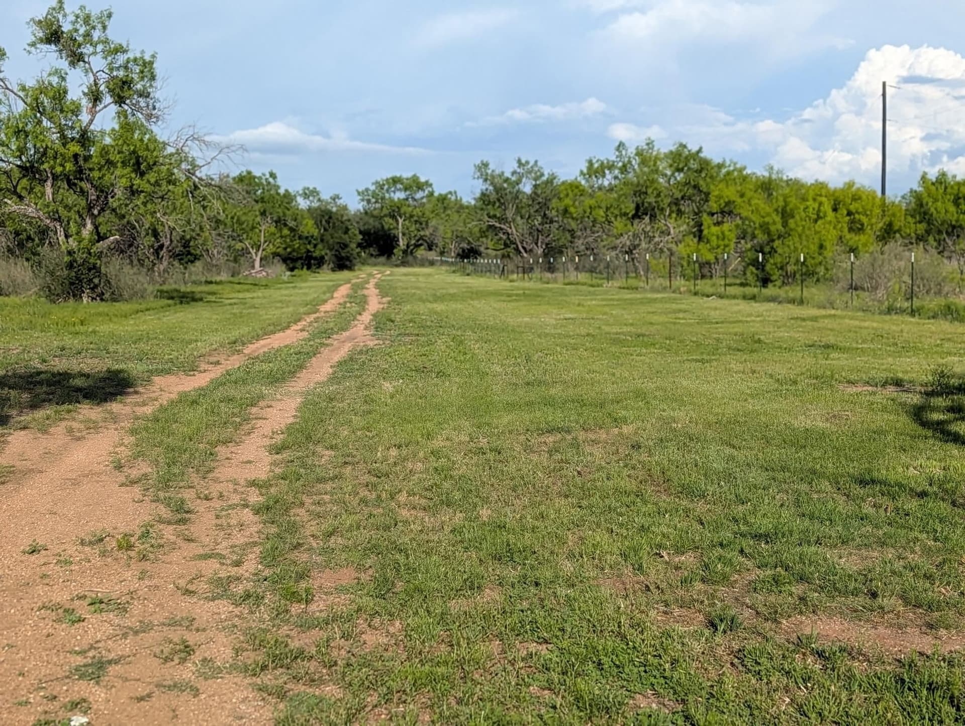 32.09 acres in Burnet County - photo 7