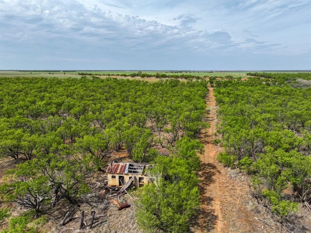 171 acres in Stonewall County gallery image 4