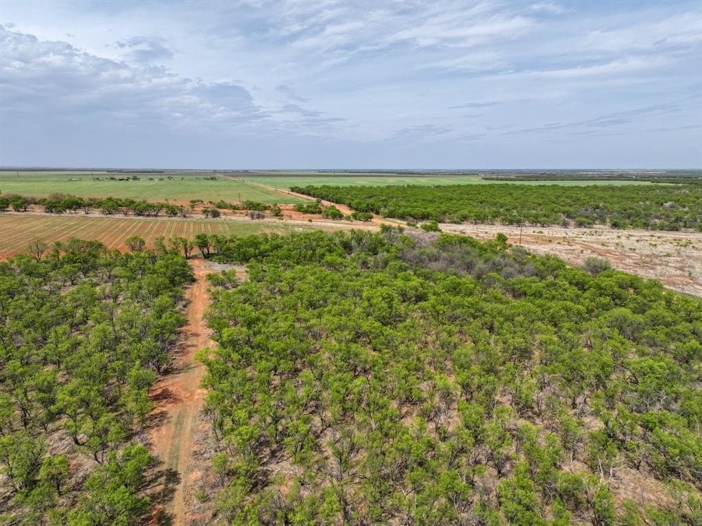 171 acres in Stonewall County gallery image 2