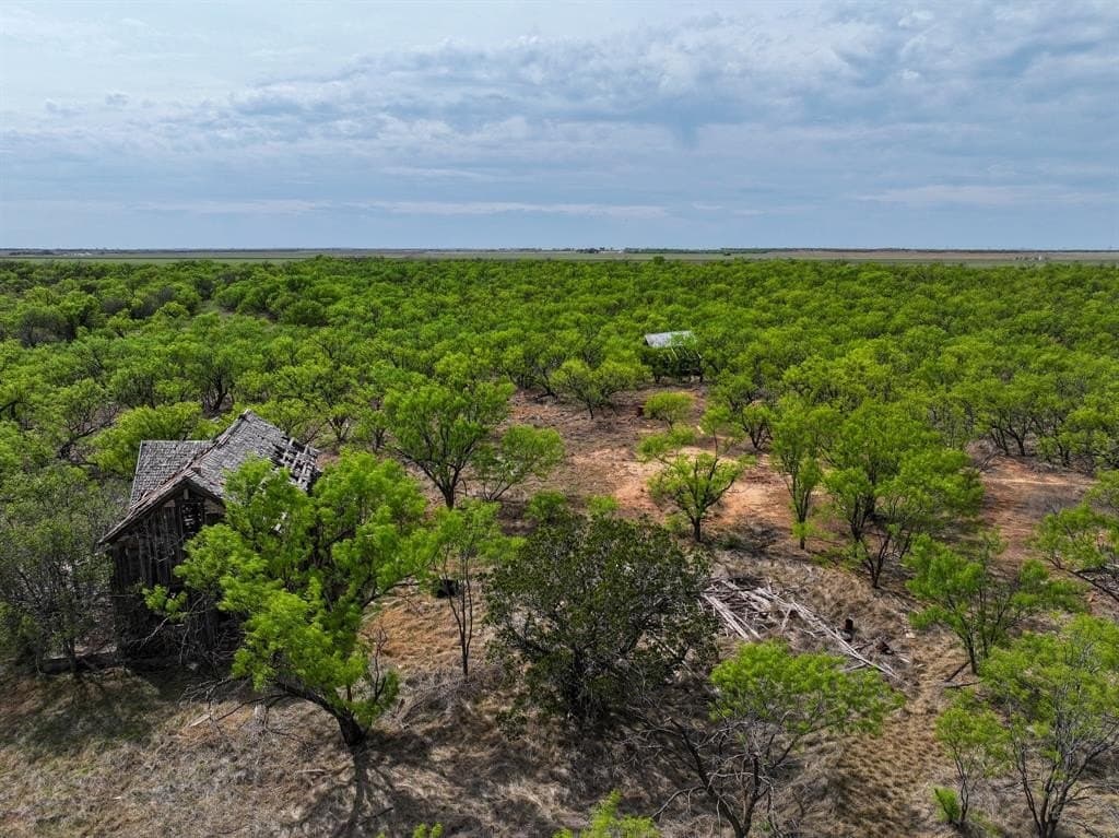 171 acres in Stonewall County featured view